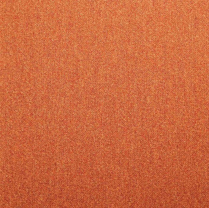 64038