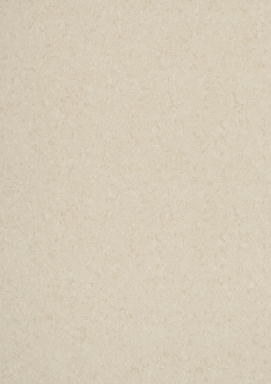 6005