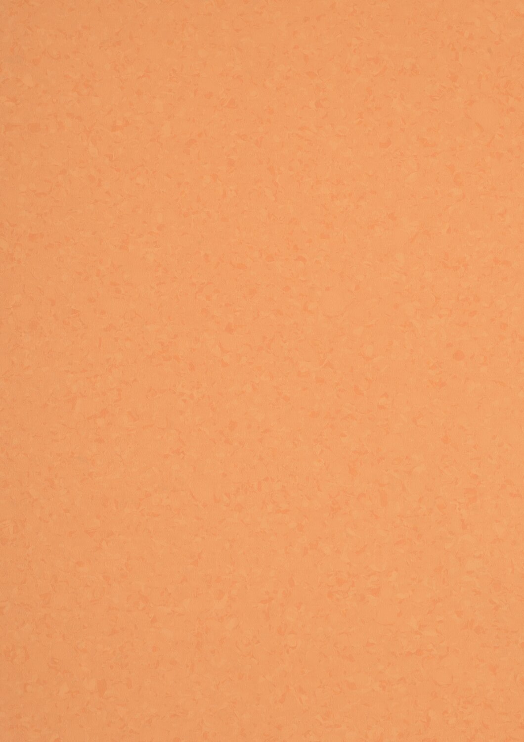 6025