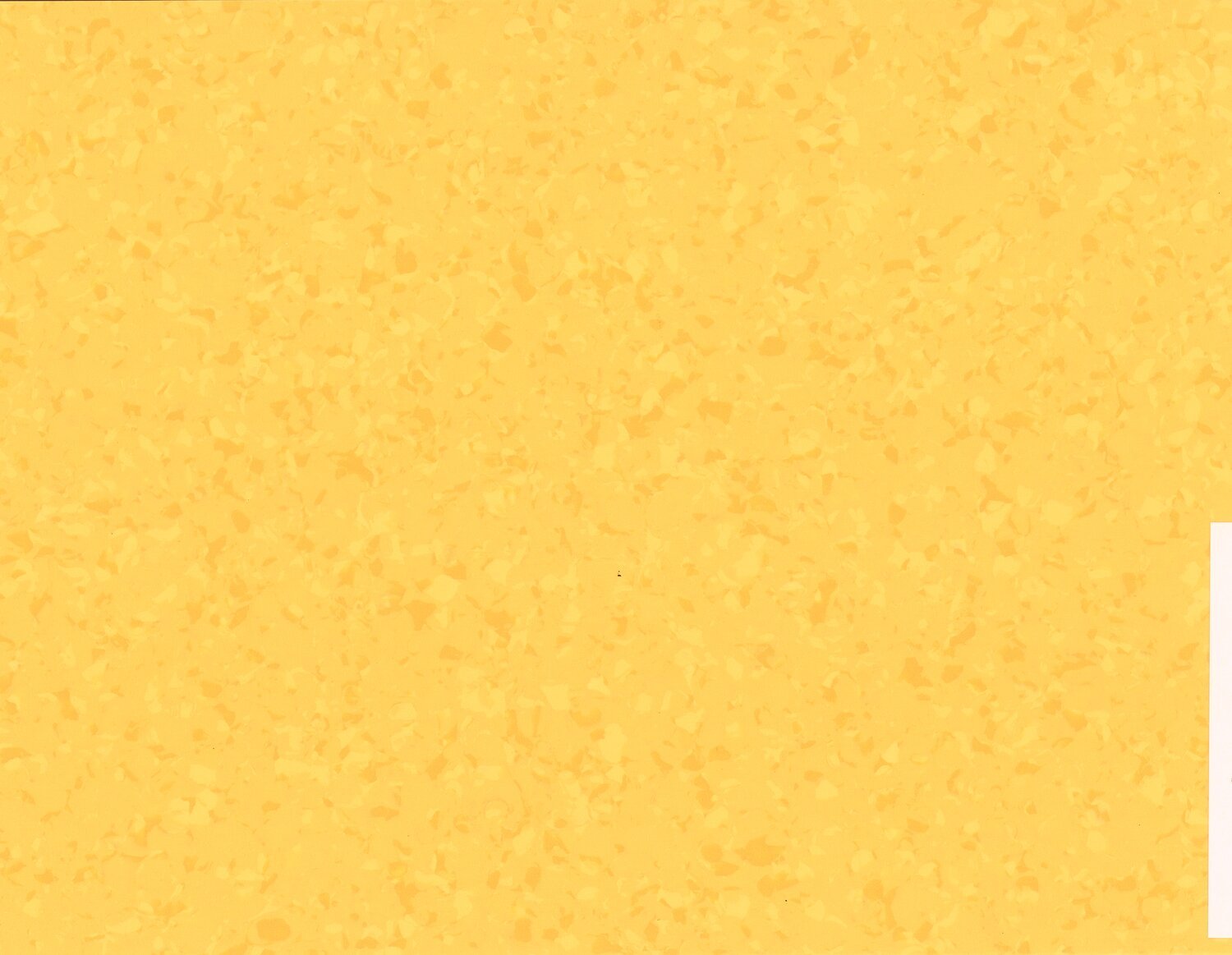 6032