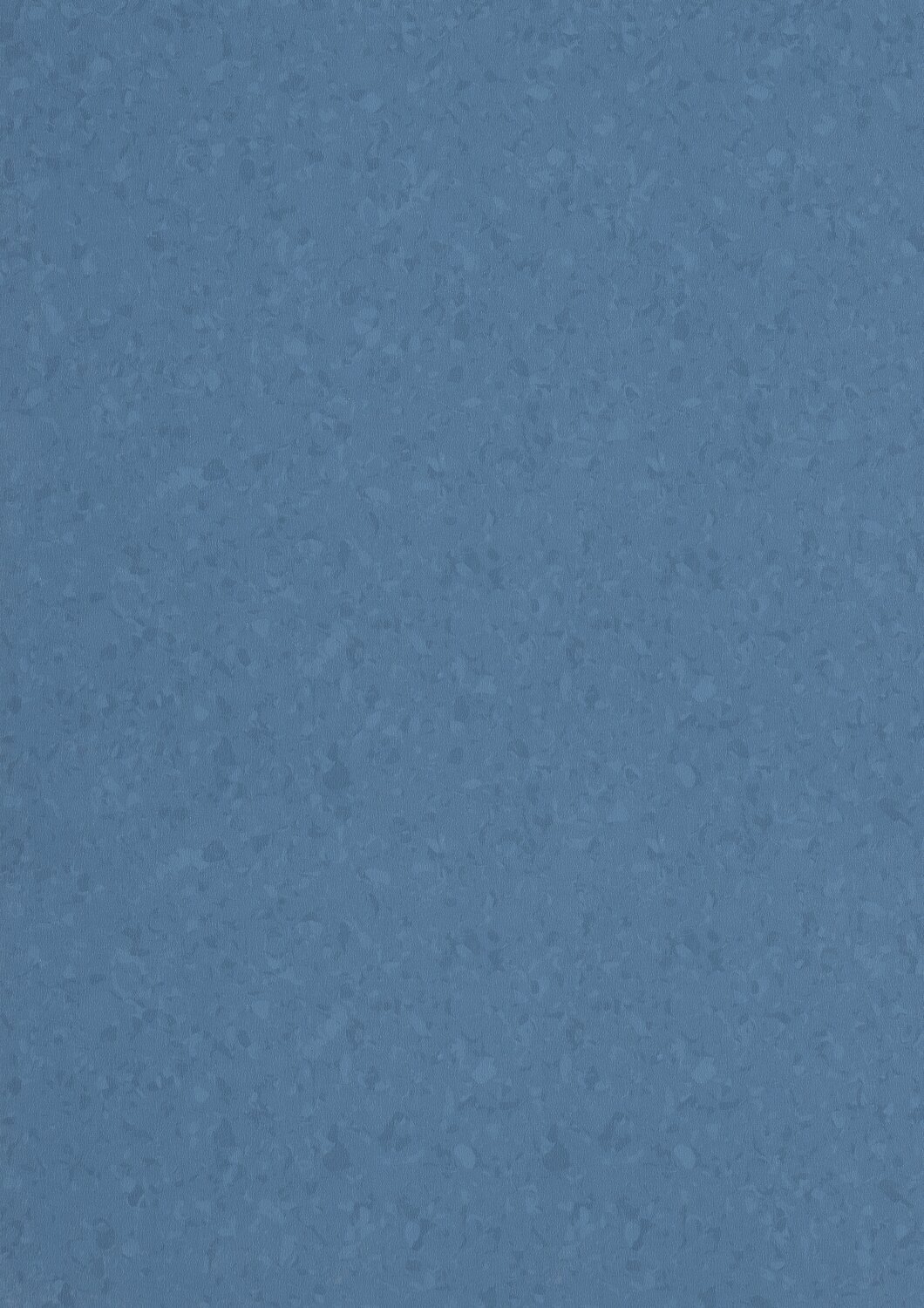 6036