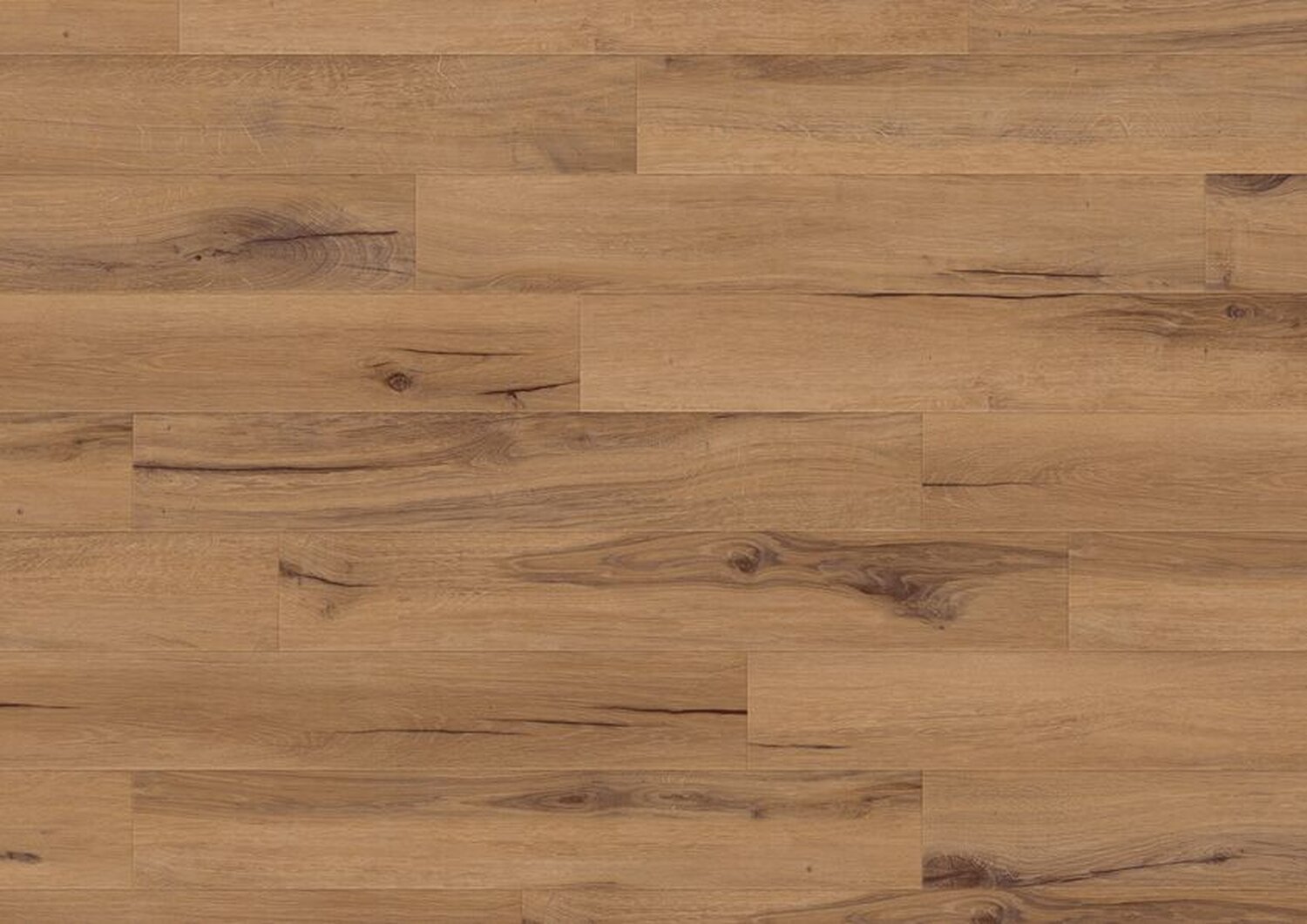 1606 CEDAR GOLDEN